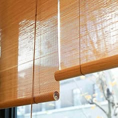 Bamboo Blinds